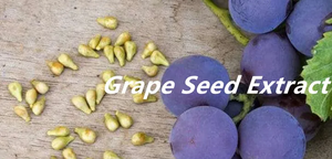 Bubuk Ekstrak Biji Anggur Antioksidan Alami Non-GMO untuk Dewasa Kemasan Dapat Disesuaikan 2 Tahun - Product Image 3