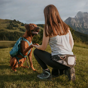 Cinturón Personalizado para Perros, para Ciclismo con Perros, Canicross, Skijoring, Senderismo, Correr, Aventuras al Aire Libre, Fabricado en Nailon - Product Image 2
