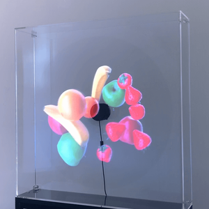 Ventilateur LED holographique Dsee-100S, affichage holographique <span class=keywords><strong>3D</strong></span>, ventilateur <span class=keywords><strong>3D</strong></span> de haute qualité, affichage holographique, <span class=keywords><strong>projecteur</strong></span> publicitaire, <span class=keywords><strong>prix</strong></span> du logo - Product Image 4