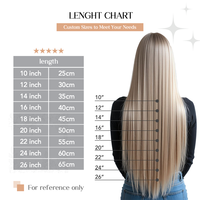Extensiones de Cabello con Punta Plana y Logotipo Personalizado, Suministro Profesional para Salón de Belleza, Extensiones de Cabello Invisibles y Sin Costuras para Uso Diario