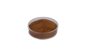 Lignosulfonate <span class=keywords><strong>de</strong></span> sodium SL50P en poudre brune pour produits réfractaires et céramiques - Product Image 3