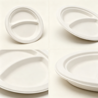 Assiette en bagasse de canne à sucre biodégradable et compostable, assiette jetable écologique, plateau de service alimentaire, vente en gros