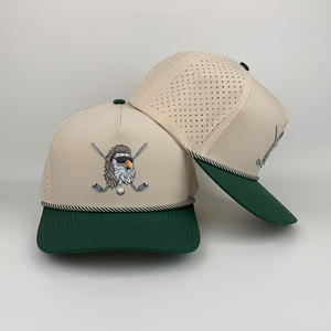 Boné de Golfe Impermeável 5 Painéis Alta Qualidade Bege Verde Personalizado com Logo Bordado em 3D Clássico com Furos a Laser Boné de Beisebol Bicolor - Product Image 3