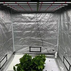 Learnew, nuevos productos, B3T Plug Play, 3 canales, luz de cultivo, 1000W para plantas de interior, luz de Cultivo LED, luz de cultivo Led con gran oferta