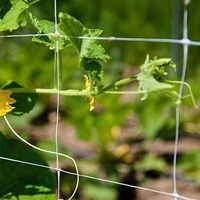 Extruded PP Klimplanten Net - Robuust plantenondersteunend gaas voor bonen, komkommer, tomaat, erwten