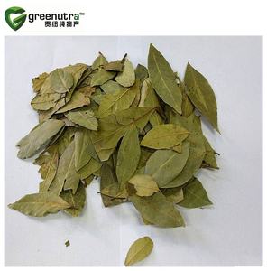 전문 세나 잎 추출물 세노 사이드 농축액 분말 완하제 제품 표준화 된 허브 포뮬러 - Product Image 3