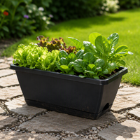 Pot de fleurs rectangulaire en plastique, long et étroit, pour la culture de légumes, en PP, durable, léger, avec indicateur de niveau d'eau simple