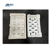 Machine de moulage automatique EPS BES pour boîtes à poisson et emballages de fruits, équipement de fabrication de boîtes en polystyrène à économie d'énergie
