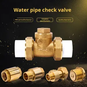 Dingjian 20 PPR 1/2 \ "3/4 \" ทองแดงทั้งหมด, PE มิเตอร์น้ำตรวจสอบวาล์วทางเดียวที่ไม่ไหลกลับน้ำมันละลายแก๊สแนวตั้งโถส้วม - Product Image 2
