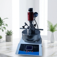 Olla de Reacción Automática de Alta Presión para Laboratorio con Pantalla Táctil, Motor y Capacidad de 100 ml