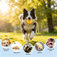 Balle d'entraînement pour chien durable avec logo personnalisé et grip, jouets à mâcher pour animaux de compagnie en gros pour l'obéissance et les mâcheurs agressifs