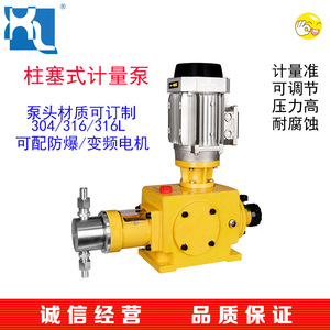 ปั๊มจ่ายสารเคมีแบบลูกสูบ Qingdao Giant Pump รุ่น Dz-X1.250 แรงดัน 50 บาร์ แบบดูดเดี่ยวแนวนอน อัตราการจ่าย 0.012 ลิตรต่อนาที - Product Image 2