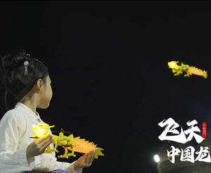 DWI DOWELLIN 2024 New <span class=keywords><strong>Dragon</strong></span> avion volant <span class=keywords><strong>drone</strong></span> en vol stationnaire automatique avec quadrirotor animal volant léger - Product Image 5