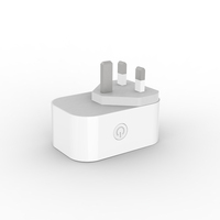 Prise intelligente WiFi RSH UK 13A avec prise de type C en plastique ABS, télécommande, 2 ports de sortie USB, compatible Alexa et Google Home
