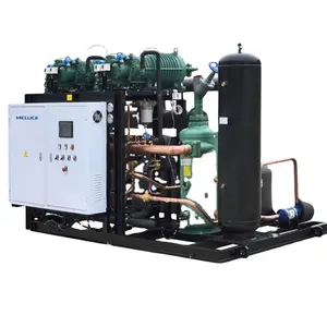 High Quality Low Temperature Screw 2 Compressors Racks Air Cooled Condensing Unit