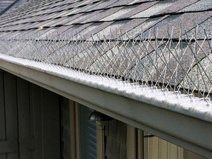 25Cm 33Cm 50Cm Chất Lượng Cao Nhà Máy 100% Thép Không Gỉ Chim Gai Cho Chim Không Thấm - Product Image 6