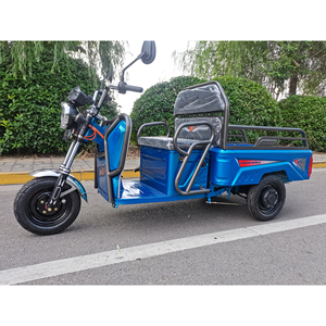 <span class=keywords><strong>Tricycle</strong></span> électrique de fret avec générateur de charge pour adultes, tricycles électriques pour passagers adultes, vélo cargo électrique à 3 roues - Product Image 2