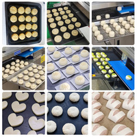 ORME Machine à aligner les plateaux à biscuits à la vapeur entièrement automatique Machine à organiser les moules à gâteaux de lune Maamoul