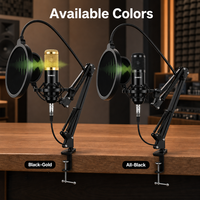 Kit de microphone à condensateur professionnel BM800 avec bras articulé et filtre anti-pop pour enregistrement en studio, podcast, diffusion en direct, karaoké