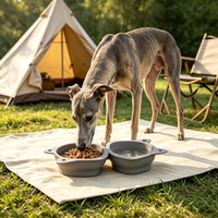 Bol d'alimentation pliable en silicone durable avec ventouse antidérapante pour chiens et chats, écologique, pour voyage, alimentation lente
