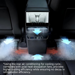 Custom Integrated Car Refrigerator for Tesla Model Y 2024+ <strong>Sub</strong> Trunk Hidden <strong>Fridge</strong> Space Saving Cooler Box - Product Image 5