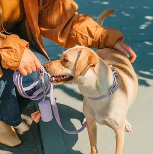 Coleira anti-mordida para cães, conjunto de alça de peito em PVC com logotipo personalizado, coleira única à prova d'água de alta qualidade