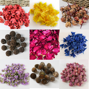 Commercio all'ingrosso da produttori di frutta secca calcio frutta bianca piccola frutta secca frutta secca per la decorazione didattica - Product Image 2