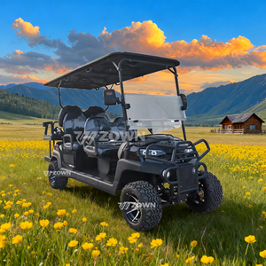 Carrito de Golf Eléctrico ZOWN de 5-6 Asientos, 4x4 Todoterreno, Vehículo Utilitario de Alta Resistencia, Techo y Carrocería Negros - Product Image 3
