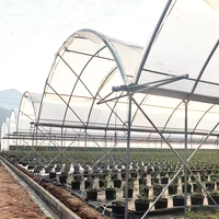 Abri de pluie simple en acier ZHUOTAI pour raisins/myrtilles