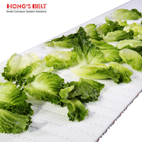 Hongsbelt HS-100AN Plastic Modulaire Band voor Transportband