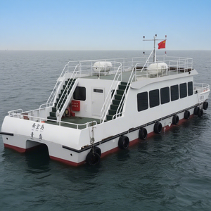 Bateau de tourisme en acier certifié CE, type catamaran, avec capacité de passagers personnalisable et services de conception gratuits - Product Image 4