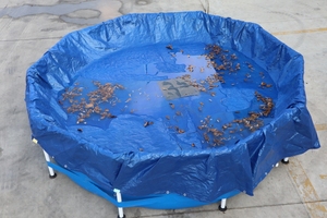 Couverture de <span class=keywords><strong>piscine</strong></span> en PE imperméable avec protection UV, design léger <span class=keywords><strong>pour</strong></span> usage extérieur - Product Image 2