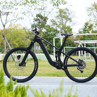 Vélo électrique tout-terrain EM19 Race Road Bafang Center Motor Mountain Cross-country 250W Soft Tail 36V48V Lithium