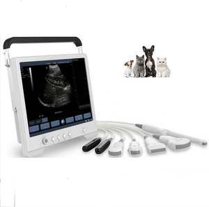 Yuksek Kaliteli Kopek Ultrason Makinesi Ureticilerinden Ve Kopek Ultrason Makinesi Alibaba Com Da Yararlanin