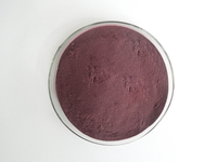 Yinsen — poudre de baies Acai, fournit de qualité supérieure,