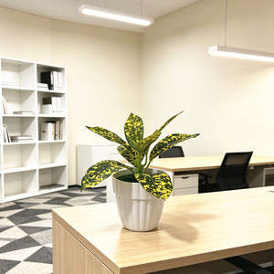 Paulon Artificial Green <b>Plant</b> 16cm High Plastic Desk Decor Office Home Decoration <b>Potted</b> <b>Plant</b> - Product Image 3