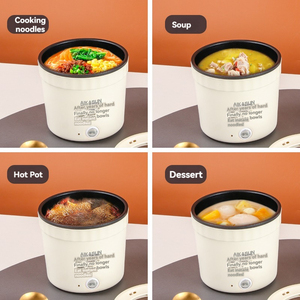 1.6L <strong>Mini</strong> Multifunctional Electric Pot 450W, 220V Non-Stick Instant Noodle &amp; Hot Pot For Single Person &amp; Student Dorm, OEM ODM - Product Image 6