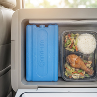 World-bio Chaîne du froid : Blocs de glace et briques de glace en HDPE, Boîtes repas isothermes à prix abordable, Packs de glace premium