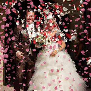 0,5 кг/мешок оптом из нетканого материала с лепестками роз, искусственные лепестки роз для свадебной вечеринки, украшения на день Святого Валентина - Product Image 5