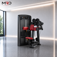 Máquina de Entrenamiento para Elevación de Hombros, Máquina de Elevación Lateral con Peso, Equipo de Entrenamiento de Fuerza para Gimnasio Comercial
