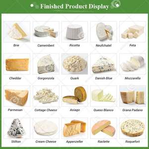 全自動500リットルプレスチーズ製造機設備価格 リコッタ・コテージチーズ製造用 - Product Image 4