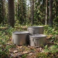 Grand pot de camping en titane pur de 1000 ml avec couvercle - Bol de cuisson extérieur grande capacité avec poignée pliable - Vente en gros OEM/ODM