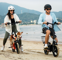 Trottinette électrique familiale portable et pliable pour enfants, 14 pouces, 48V 500W, batterie au lithium sans balais, deux roues, pour le shopping et la marche