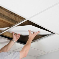 Paneles de Techo Aislantes de PVC, Revestimiento Exterior de PVC, Lámina de Plástico Impermeable para Baño, Diseño para Dormitorio 2x2 2x4