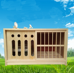 Houten duivenhok - All-in-one kweek-, nest- en parenkooi voor wedstrijd- en postduiven - Product Image 4