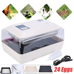 <span class=keywords><strong>10</strong></span> pièces 24 pièces volaille oiseaux poulets canards oies contrôle automatique de la température humidité pour maintenir mini éclosion - Product Image 4