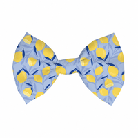 Ensemble de laisse pour chien anti-traction, nouveau modèle, motif citron mignon, luxueux et durable, vente en gros, produit pour animaux de compagnie, offre spéciale