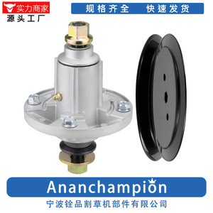 Polea para Cortacésped A10679, Eje Negro GY20454 GX20367, Pieza de Repuesto para Accesorios de Cortacésped - Product Image 2