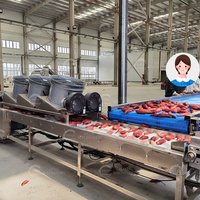 Industriële aardappelwas- en drooglijn, fruit- en zoete aardappelborstelwasinstallatie, borstelwasser voor wortelgroenten
