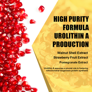 Suplemento de Urolithin A Más Vendido con Mezcla Patentada de Urolithin A que Mejora la Absorción de Nutrientes, Suplementos Naturales a Base de Hierbas - Product Image 6